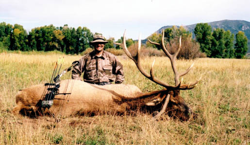 colorado elk 